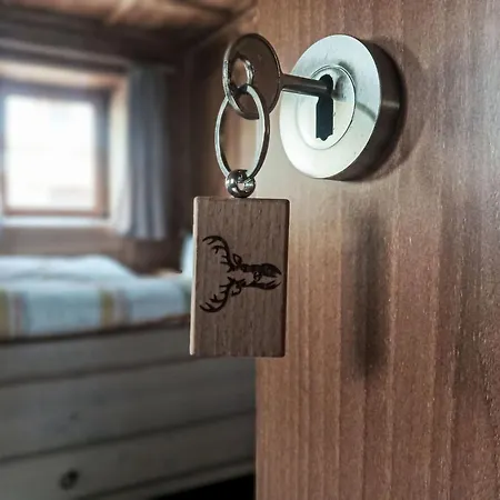 Schiestl By Interhome Appartement Uderns